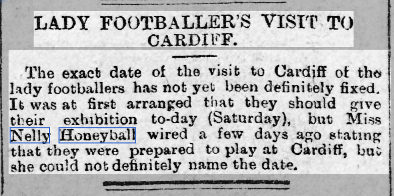 South Wales Daily News 18 May 1895